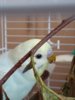 20170613_151443.jpg