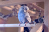 _DSC4548@0,25x.jpg