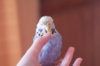 _DSC4696@0,25x.jpg