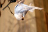 _DSC4745@0,25x.jpg