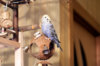 _DSC4751@0,25x.jpg