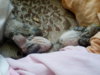 IMG_20170616_102028.jpg
