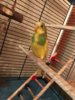 IMG-20170617-WA0012.jpg