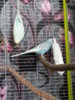 20170618_164734.jpg