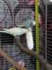 20170618_164804.jpg