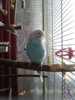 20170618_172815.jpg