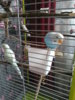 20170618_172537.jpg