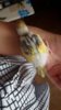 20170619_112121.jpg