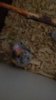 20170618_194758.jpg