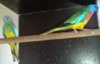 20170620_120200.jpg