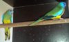 20170620_120204.jpg