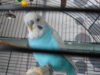 DSCN9513.JPG