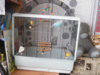 DSCN9515.JPG