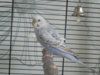 DSCN9525.JPG