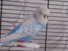 DSCN9528.JPG