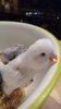 DSC_2317.JPG
