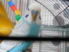 DSCN9541.JPG