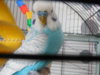 DSCN9542.JPG
