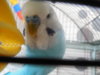 DSCN9546.JPG