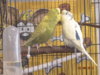 DSC01904.JPG