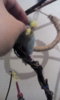 IMG-20170620-WA0021.jpeg