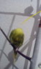 IMG-20170620-WA0010.jpeg