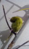 IMG-20170620-WA0016.jpeg