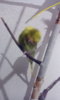 IMG-20170620-WA0014.jpeg