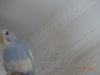 DSC01974.JPG