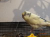 DSC01973.JPG