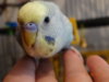 DSC01970.JPG