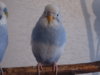 DSC01818.JPG