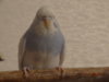 DSC01888.JPG
