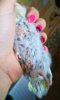 IMG_20170622_201117.jpg