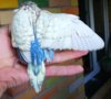 IMG_20170622_201356.jpg