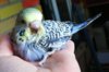 IMG_20170622_201655.jpg