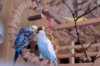 _DSC4833@0,25x.jpg