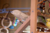 _DSC4867@0,25x.jpg