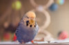 _DSC4879@0,25x.jpg