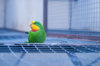 _DSC4923@0,25x.jpg