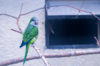 _DSC4957@0,25x.jpg