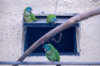 _DSC4972@0,25x.jpg