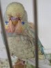 IMG_5338.JPG