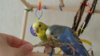 IMG-20170622-WA0001.jpg
