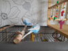 DSCN9631.JPG