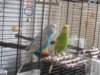 DSCN9635.JPG