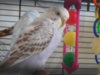 DSCN9640.JPG