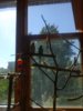 20170624_163029.jpg