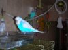DSCN9286.JPG