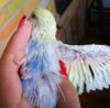 IMG_20170625_174629.jpg